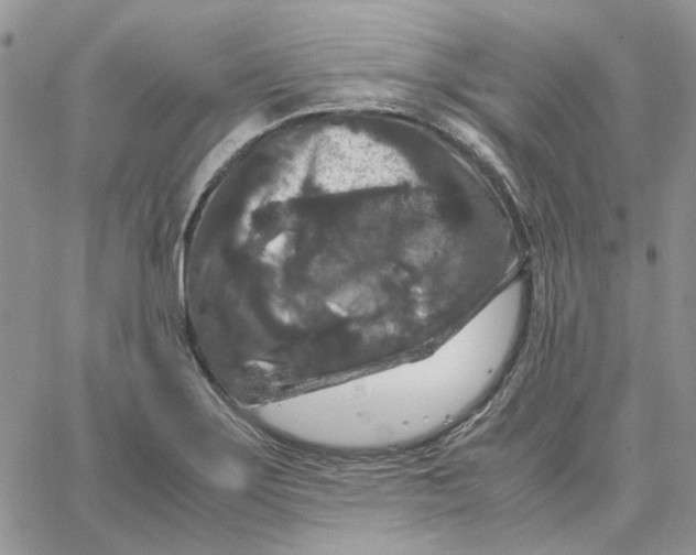 X0000062851275200602031618