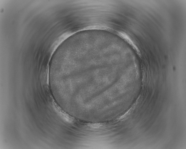 X0000062851276200602031618