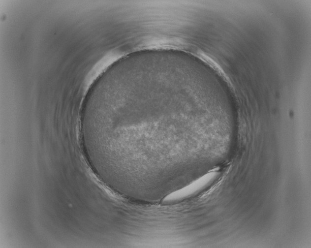 X0000062851277200602031618