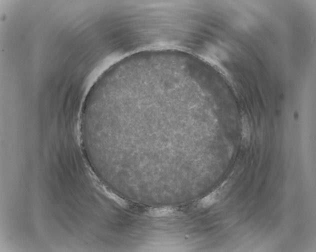 X0000062851278200602031618