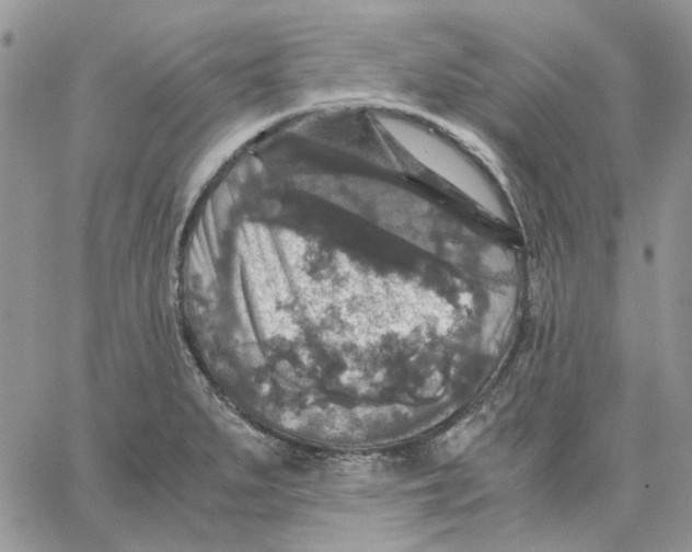 X0000062851279200602031618