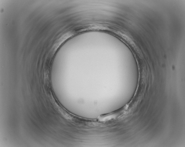 X0000062851281200602031617