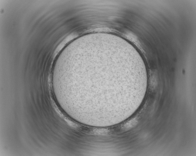 X0000062851282200602031617