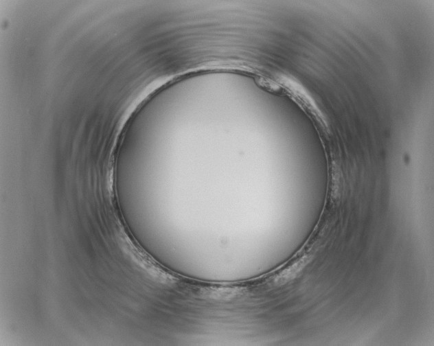 X0000062851284200602031617