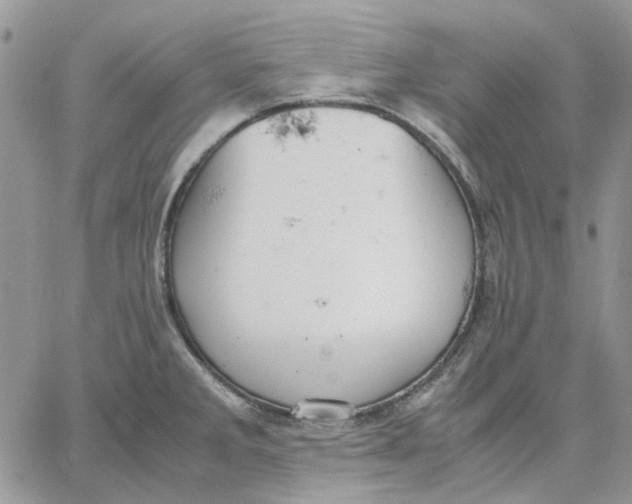 X0000062851285200602031617