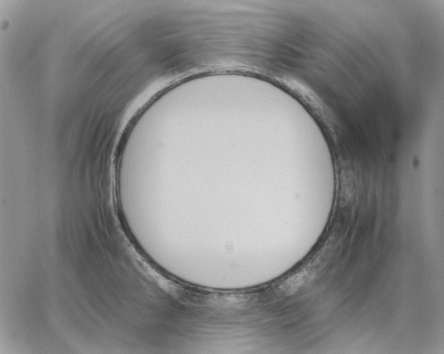 X0000062851286200602031617