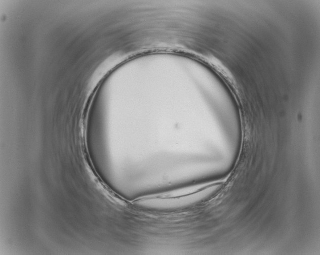 X0000062851287200602031617