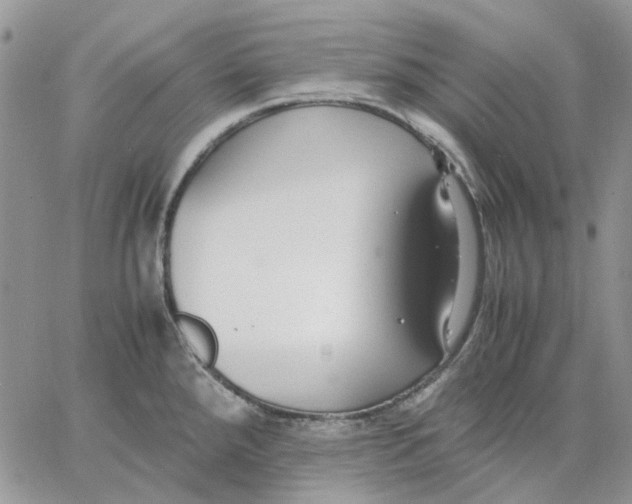 X0000062851288200602031617