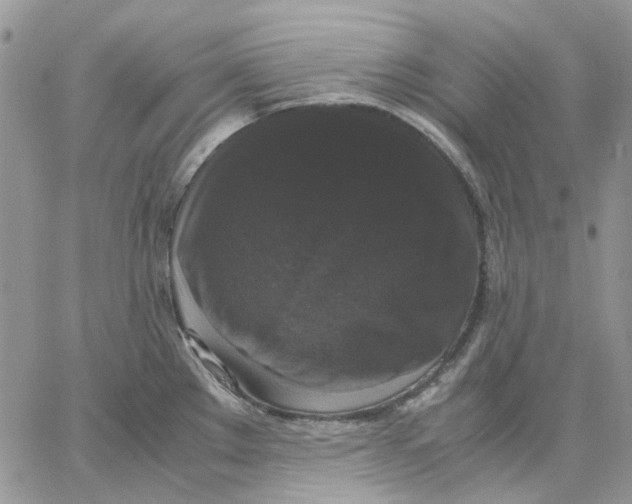 X0000062851289200602031617