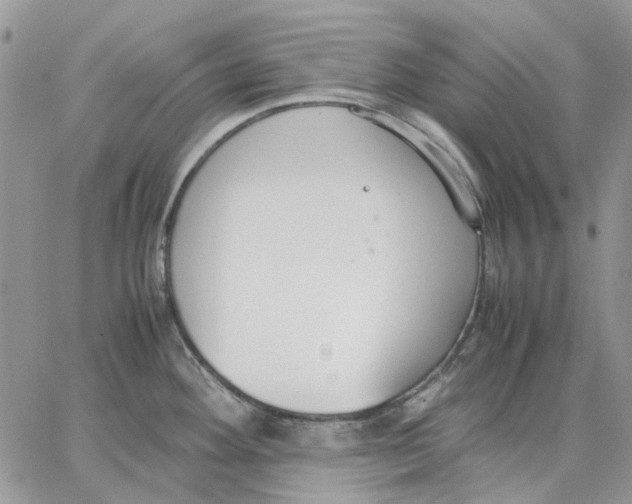 X0000062851292200602031617