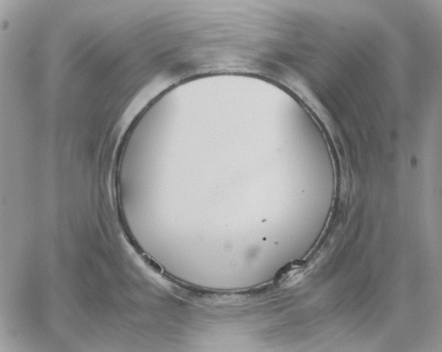 X0000062851293200602031617