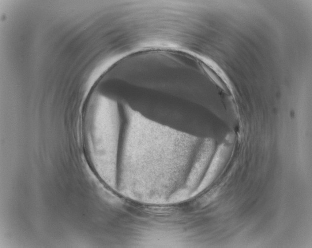 X0000062851295200602031617