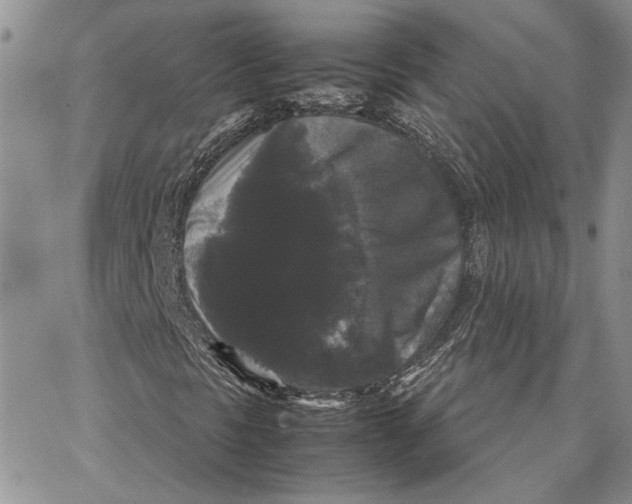 X0000062851297200602031616