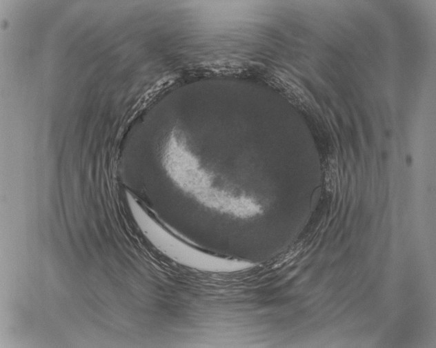 X0000062851298200602031616