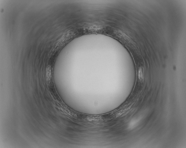 X0000062851299200602031616