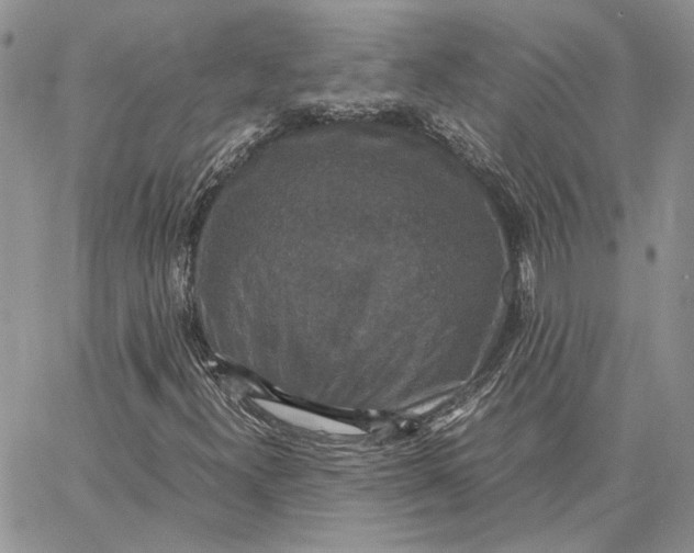 X0000062851300200602031617