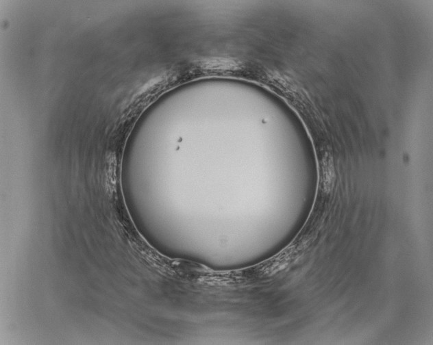 X0000062851301200602031617