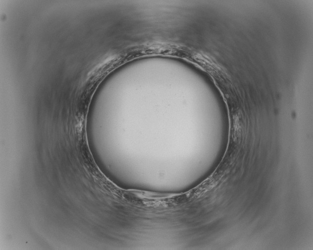 X0000062851302200602031617