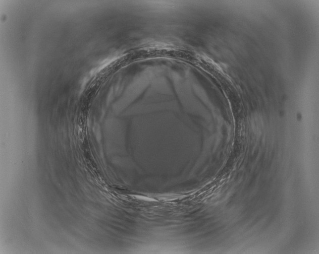 X0000062851303200602031617