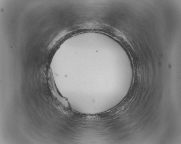 X0000062851304200602031617