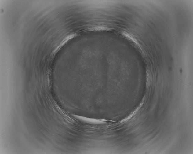 X0000062851305200602031617