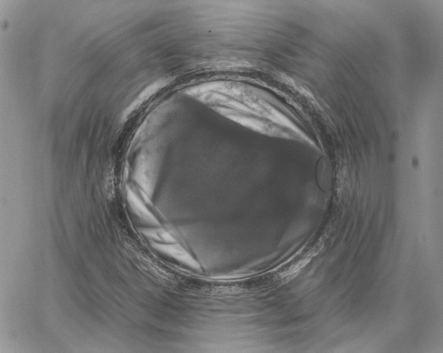 X0000062851306200602031617