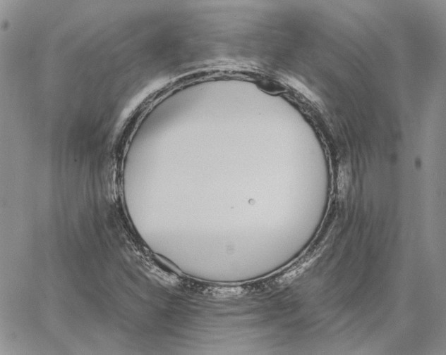 X0000062851310200602031617