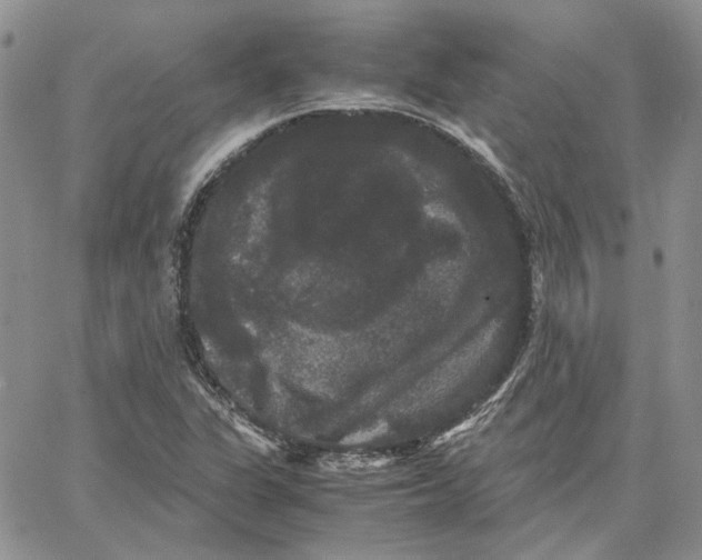 X0000062851311200602031617