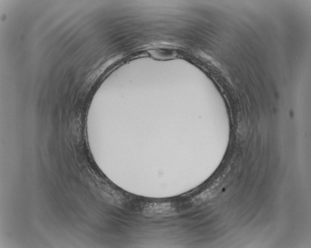 X0000062851313200602031617