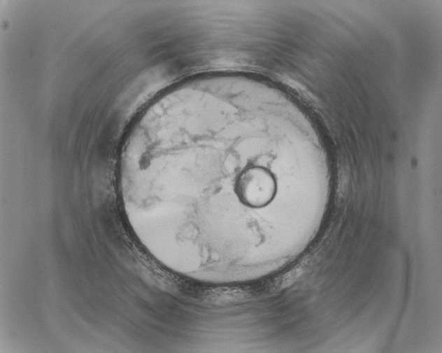 X0000062851314200602031617