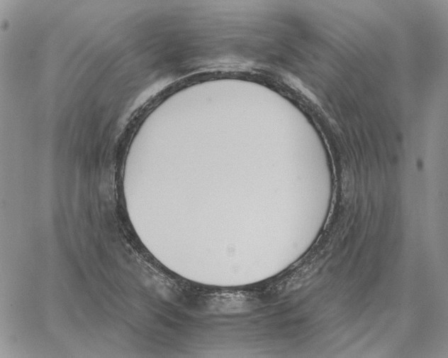 X0000062851315200602031617