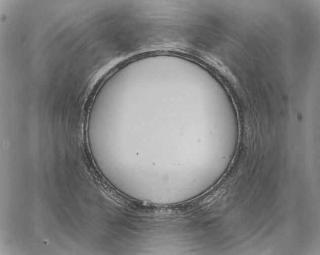 X0000062851316200602031617