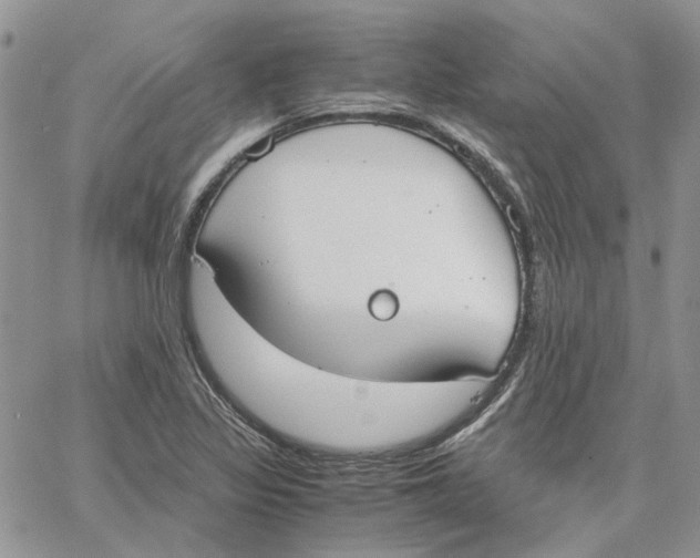 X0000062851317200602031617