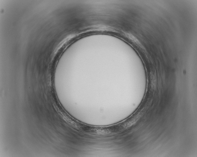 X0000062851318200602031617