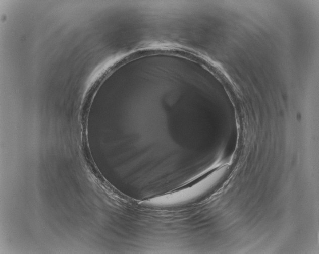 X0000062851319200602031617