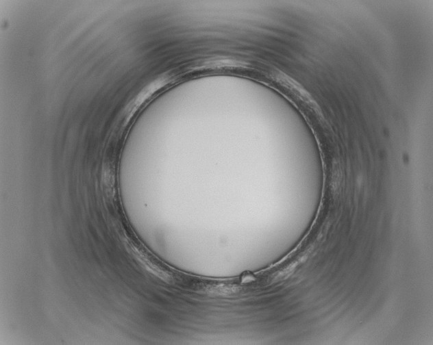 X0000062851321200602031617