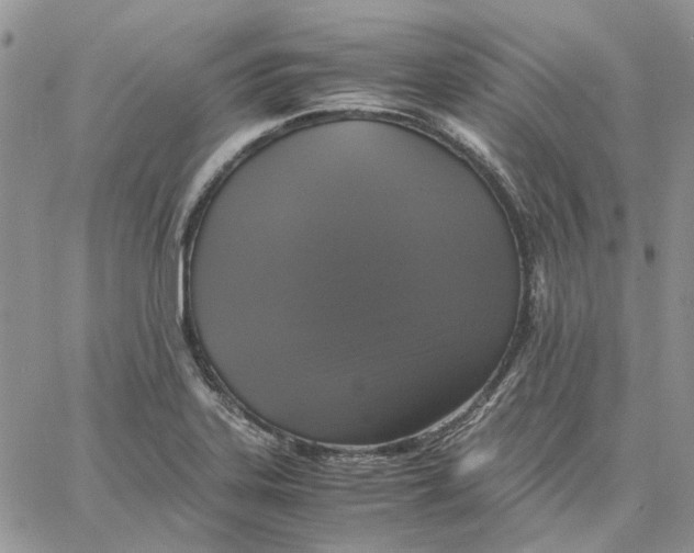 X0000062851323200602031617