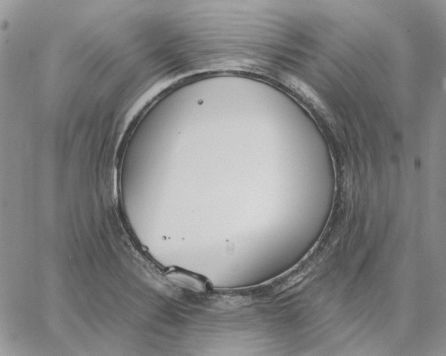 X0000062851324200602031617