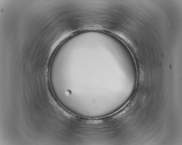 X0000062851325200602031617