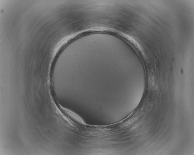 X0000062851327200602031617