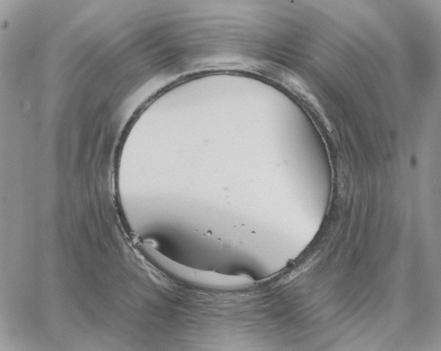 X0000062851328200602031617