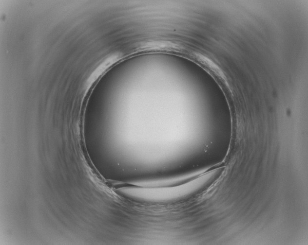 X0000062851330200602031617