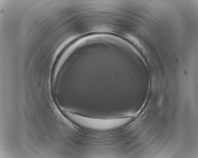 X0000062851331200602031617