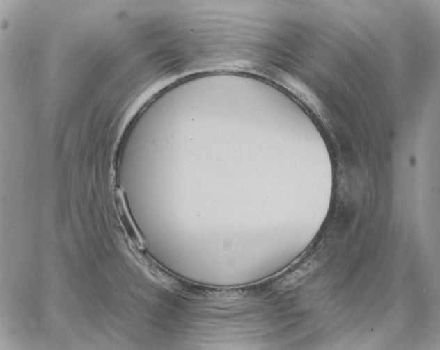 X0000062851332200602031617