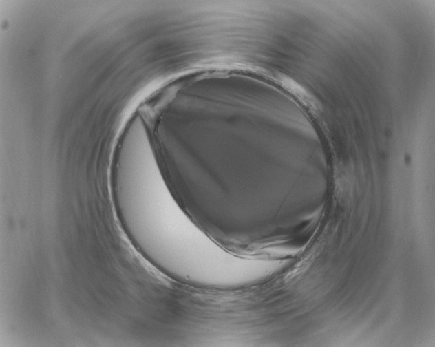 X0000062851334200602031617