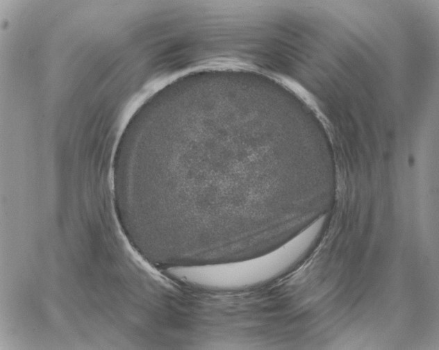 X0000062851335200602031617