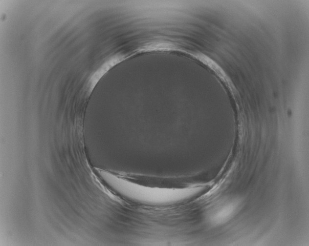 X0000062851337200602031617