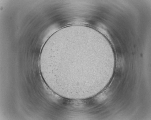 X0000062851338200602031617