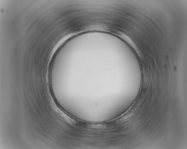 X0000062851339200602031617