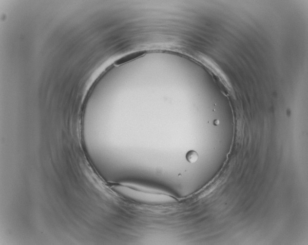 X0000062851340200602031617